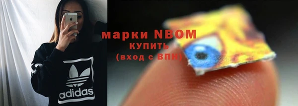бошки Богородицк