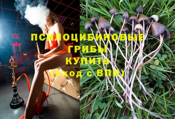 метадон Богородск