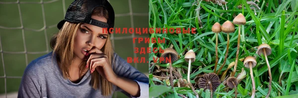 mix Пестово